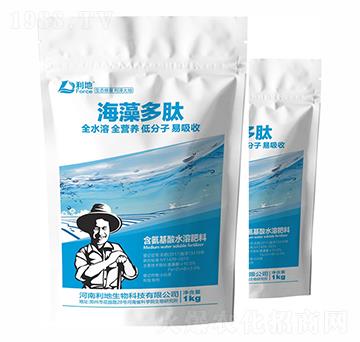 �������-��������