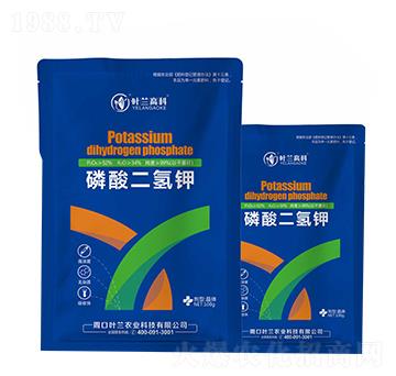 ���������{(l��n)���b-�~�m�߿�