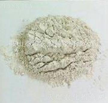 �����{�턩-�ݸ����B(t��i)