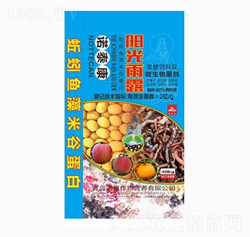 ����~���׹ȵ���-�Z̩��-���u�Z��