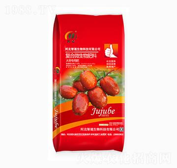 �󗗌�(zhu��n)�Ï�(f��)��΢�������-�ǵ�