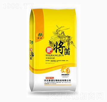 �����ЙC��-�ʌ���-�ǵ�