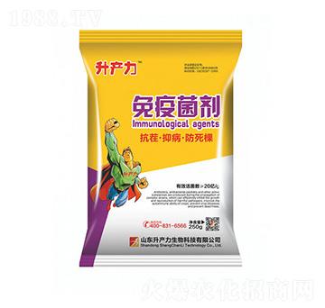 ���߾���-���a(ch��n)��