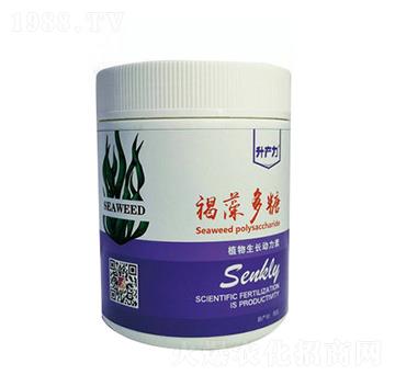 �������-���a(ch��n)��