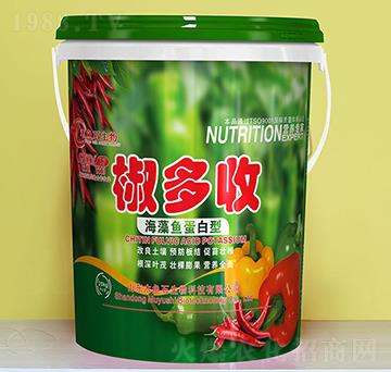 �����~(y��)������-������-ľ�~(y��)ʯ����