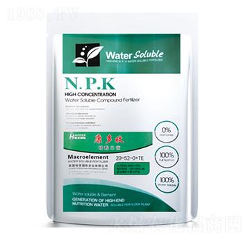 ������@20-52-0+TE-������-�߿���