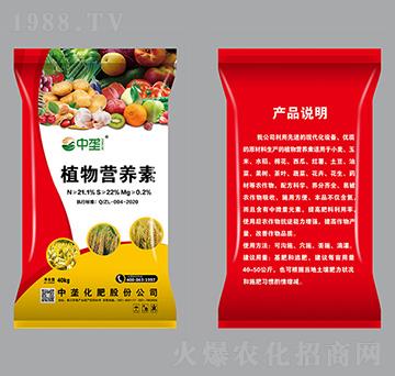 ֲ��I(y��ng)�B(y��ng)��-�Љ�