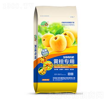 �S�Ҍ��������ЙC(j��)��-ϣ�ǷʘI(y��)