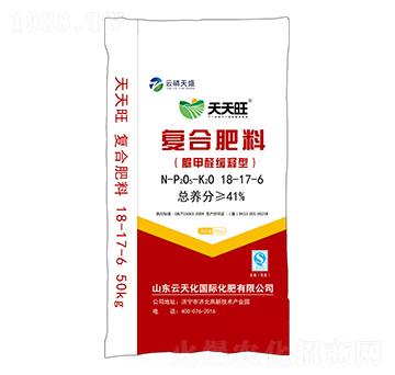 ���ȩ����͏ͺϷ���18-17-6-������-������ʢ-������