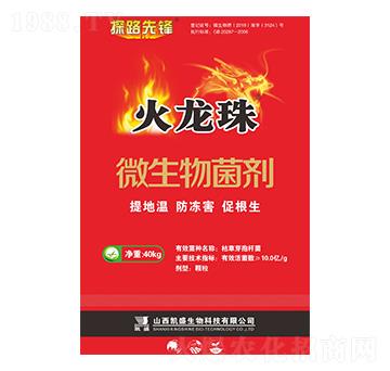 40kg΢�������-��