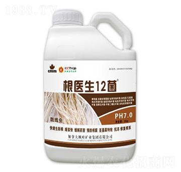 ���t(y��)��-ʢ������