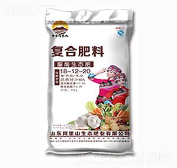 �ͺϷ���18-12-20-����ɽ