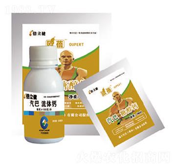 ���w�}-������-�����r�I(y��)