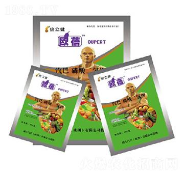 ��������-������-�����r(n��ng)�I(y��)