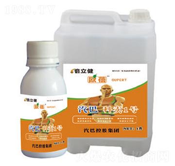 ���u1̖-������-�����r(n��ng)�I(y��)