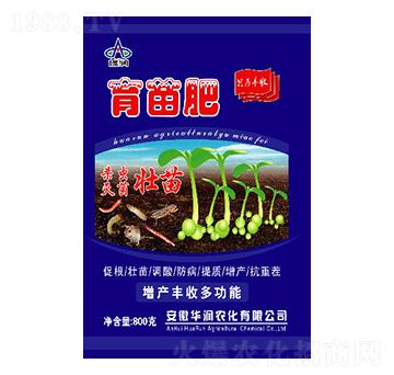 �����-�A��(r��n)�r(n��ng)��