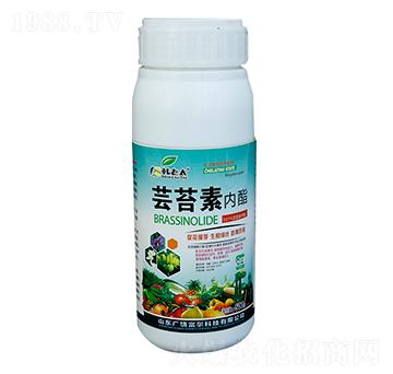 �|̦�؃�(n��i)��-�����Ƽ�