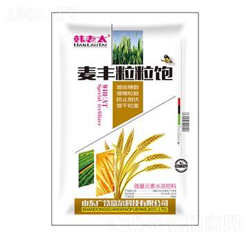 ���S�����-�n��̫-�����Ƽ�