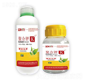 �ۺ��-�����Ƽ�