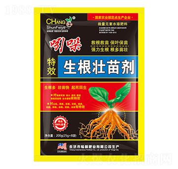 ������Ч�������焩������-��˲