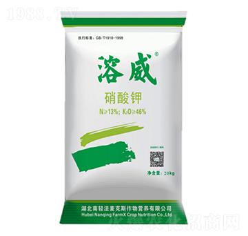 �����-����-������˹