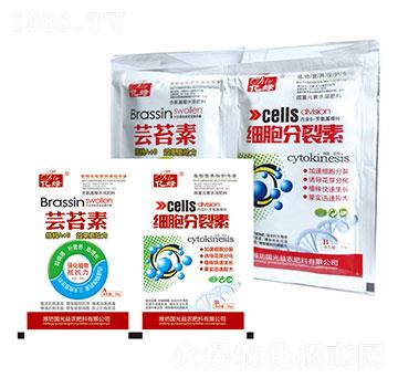 �|̦��+����������-��