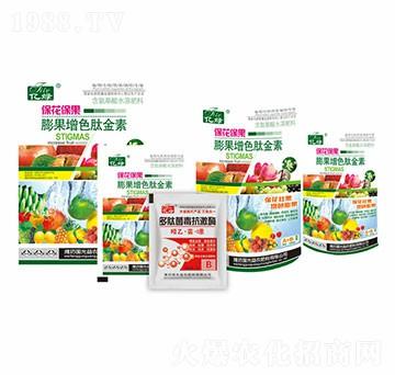 ����������L��ɫ��-��