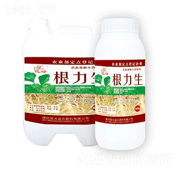 ������-�������r