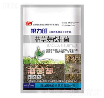 �ݲ�ѿ�ߗU��-�������r