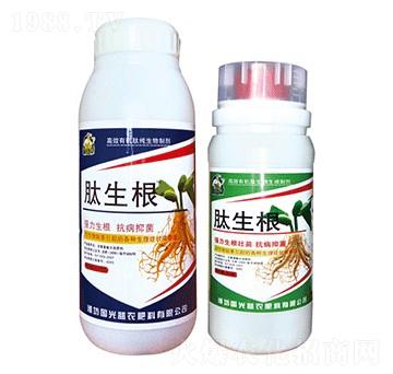 ������-�������r