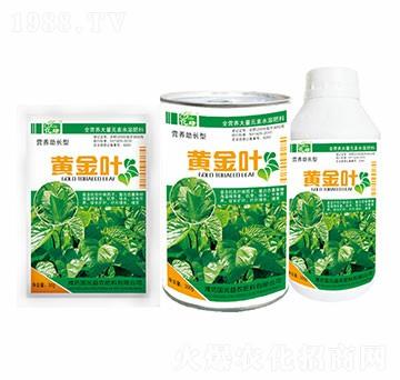 �I�B(y��ng)���L��-�S���~-��