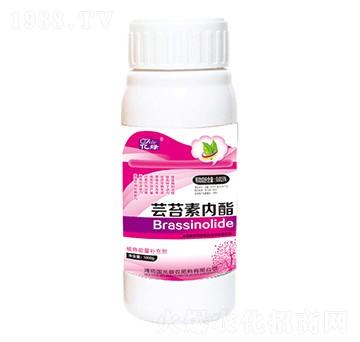 �|̦�؃���-�������r