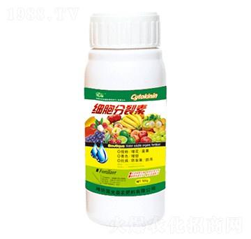 ����������-�������r