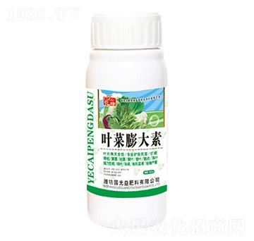 �~�������-�������r