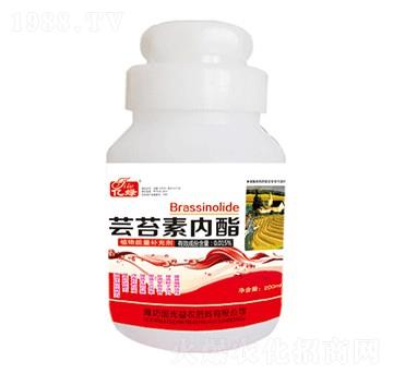 200ml�|̦�؃���-