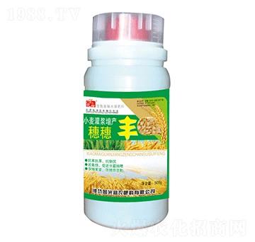 С�����{���a�����S-��