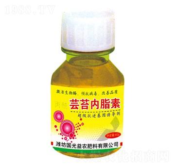 �|̦��֬��-�������r