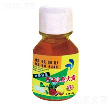 ����������-�������r