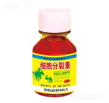 60g����������-����