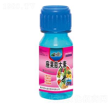 ���������-�������r