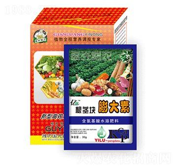 ���o�K�����-�������r