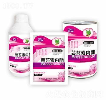 �|̦�؃����M��-�������r