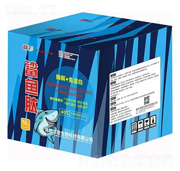 ø�⡤�~����-���~��-��������