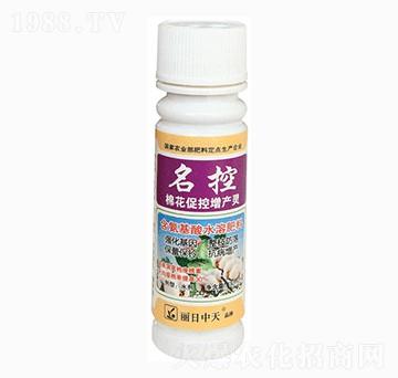 �޻��ٿ����a(ch��n)�`-����-����ʘI(y��)