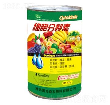 ����������-�������r