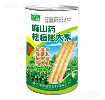 ��ɽˎ������-����