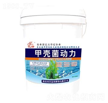 �ך�������-�������r