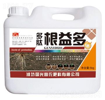 ���ĸ����-�������r