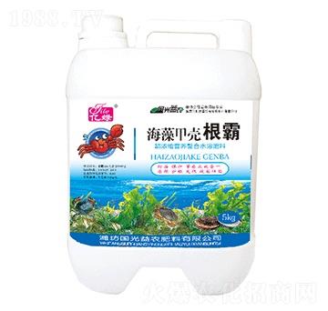 ����ך�����-�������r