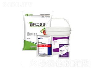 ��������ϵ��-�S���ʘI(y��)